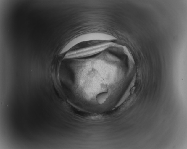 X0000087590278200705181224