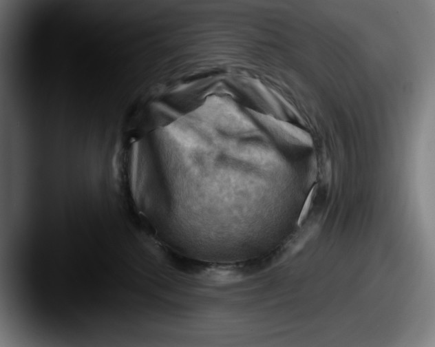 X0000087590280200705181224