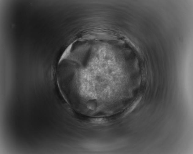 X0000087590281200705181224