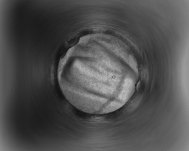 X0000087590283200705181224