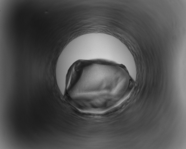 X0000087590284200705181224