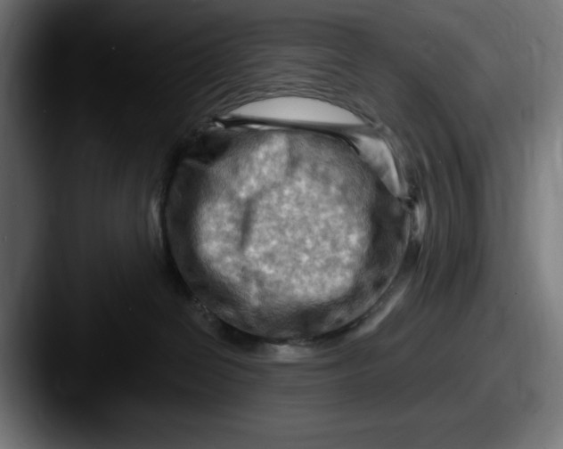 X0000087590286200705181224