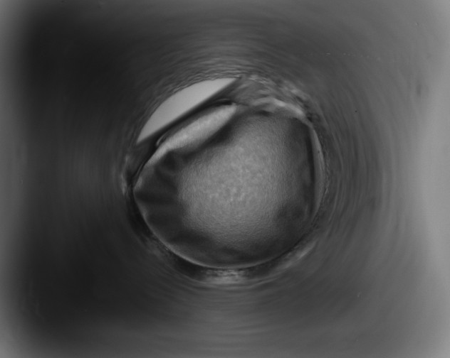 X0000087590288200705181225