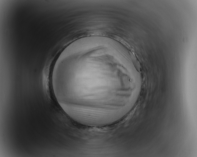 X0000087590290200705181224