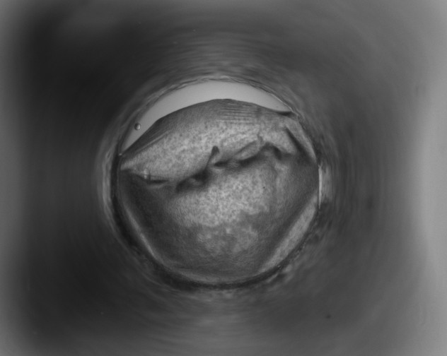 X0000087590291200705181224