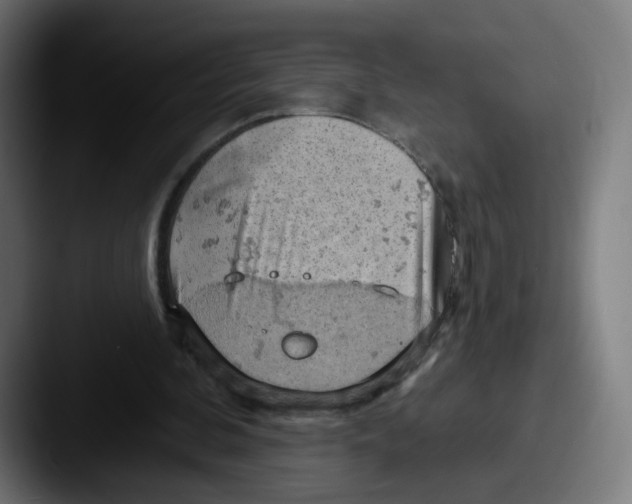 X0000087590292200705181224