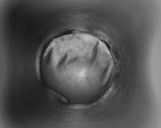 X0000087590293200705181224