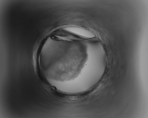 X0000087590295200705181224