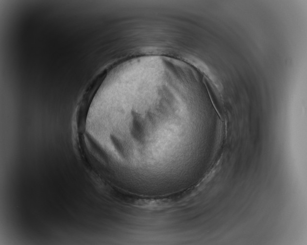 X0000087590297200705181224