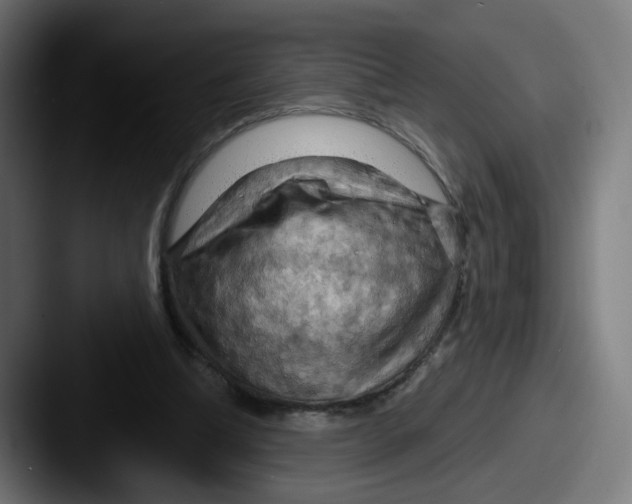 X0000087590298200705181224