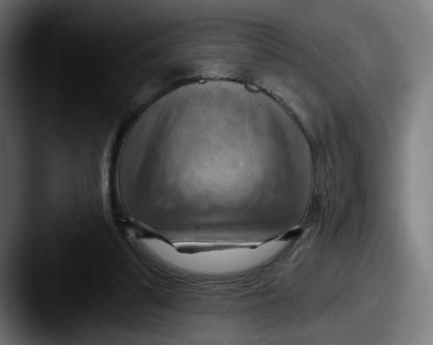 X0000087590299200705181224