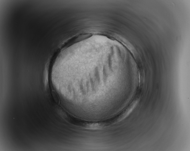 X0000087590301200705181224