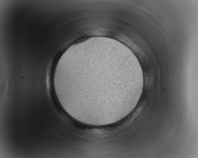 X0000087590302200705181224