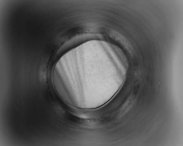 X0000087590305200705181224