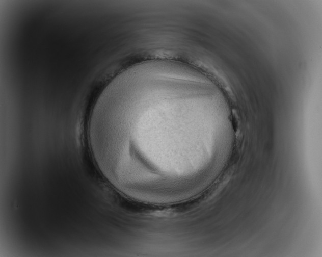 X0000087590306200705181224