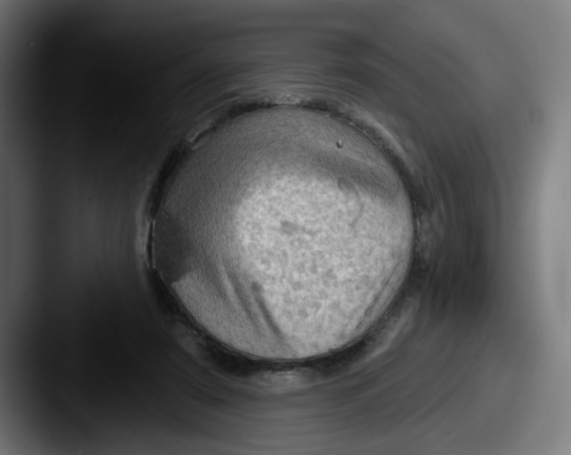 X0000087590307200705181224