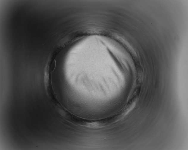 X0000087590309200705181224