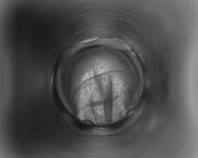 X0000087590315200705181224