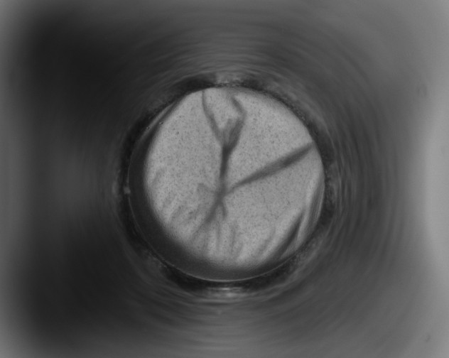 X0000087590316200705181224