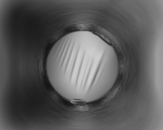 X0000087590317200705181224