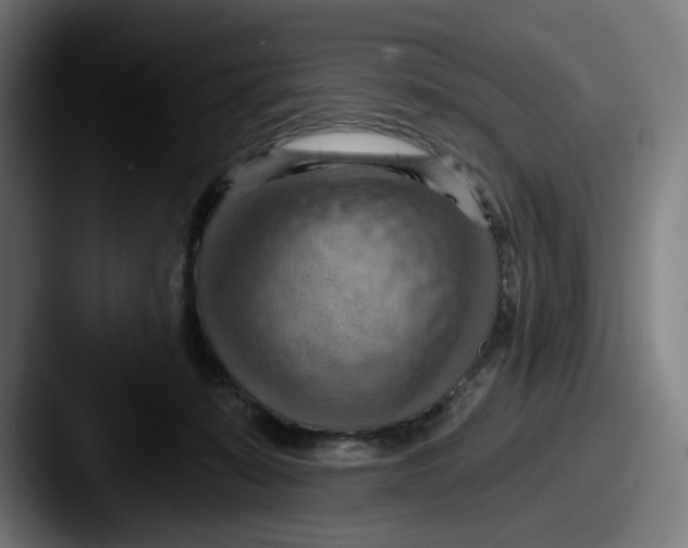 X0000087590319200705181224