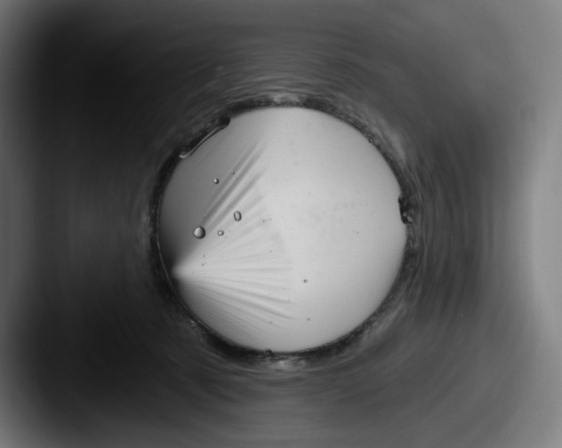 X0000087590321200705181224