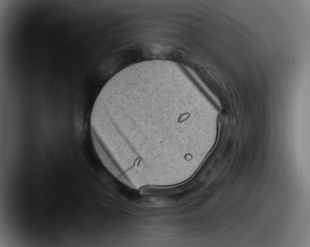 X0000087590324200705181224