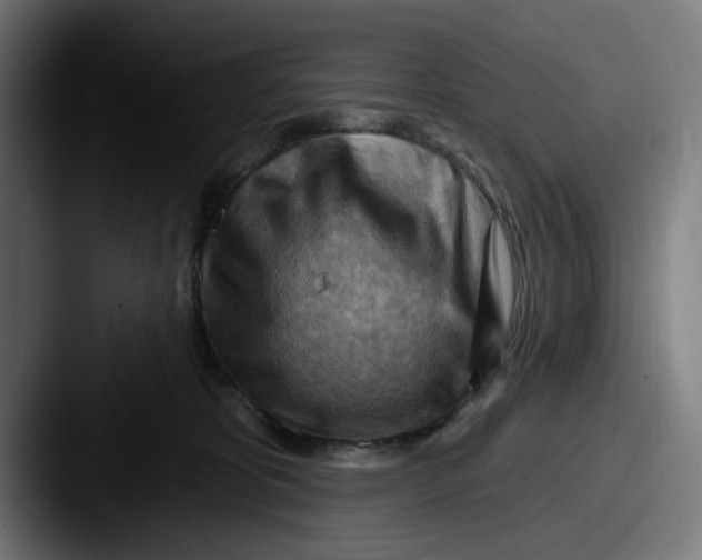 X0000087590325200705181224