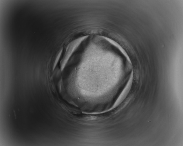 X0000087590326200705181224