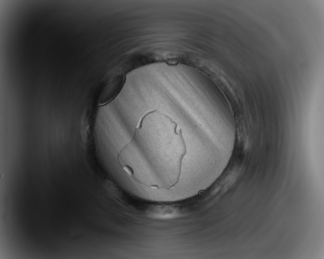 X0000087590327200705181224