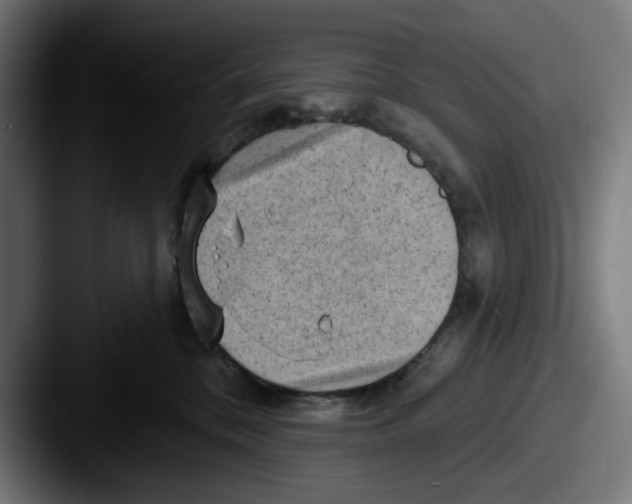 X0000087590328200705181223