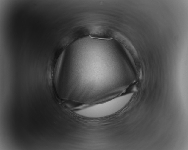 X0000087590329200705181223