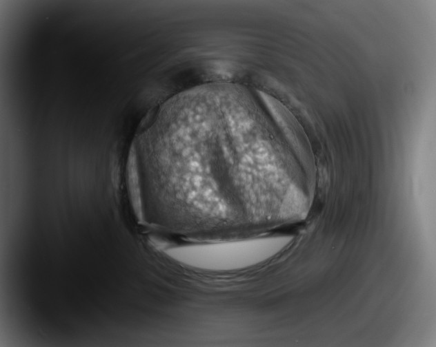 X0000087590331200705181223