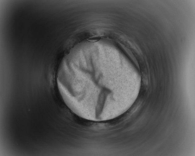 X0000087590332200705181223