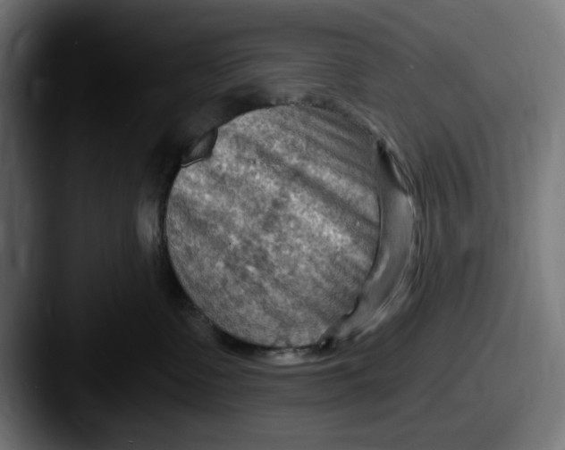 X0000087590335200705181223