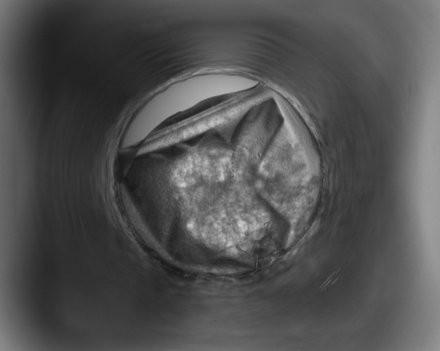 X0000087590337200705181223