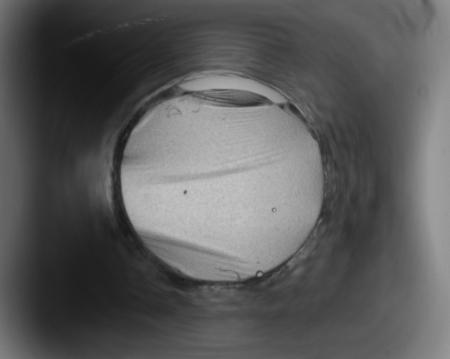 X0000087590338200705181223