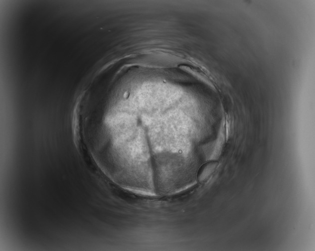 X0000087590339200705181223