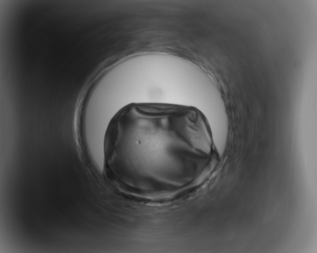 X0000087590340200705181223