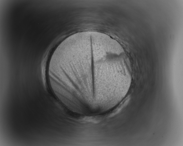 X0000087590341200705181223