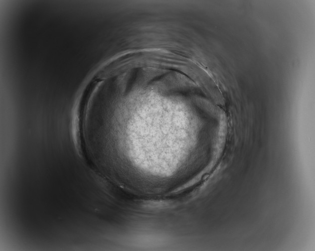 X0000087590342200705181223