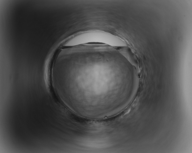 X0000087590343200705181223