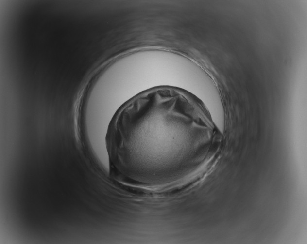 X0000087590344200705181223