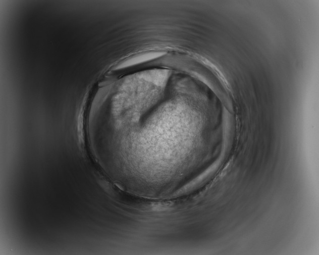 X0000087590345200705181223