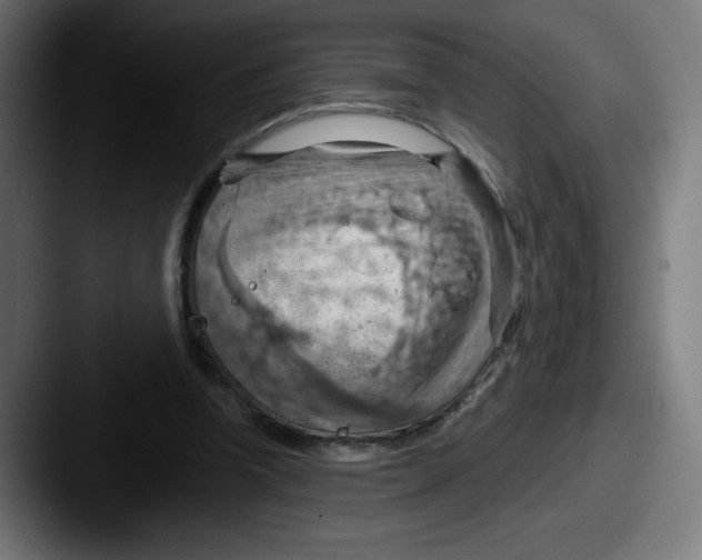 X0000087590346200705181223