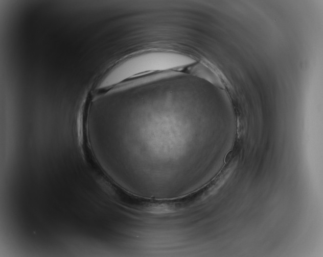 X0000087590349200705181223