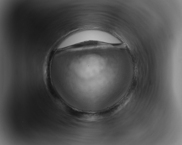 X0000087590351200705181223