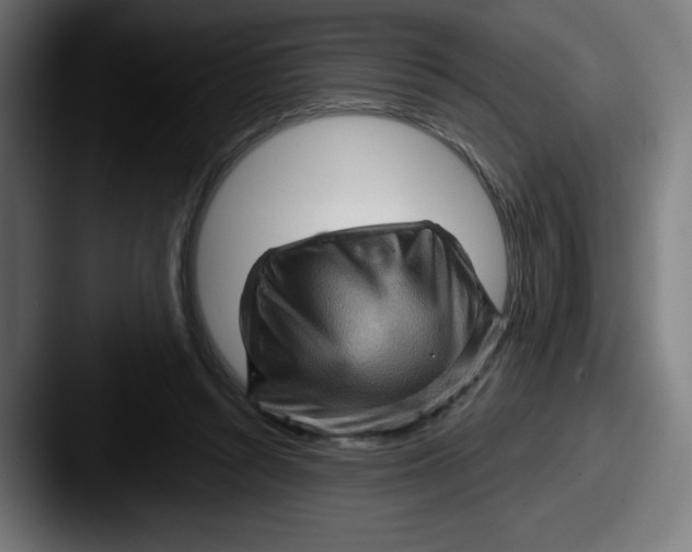 X0000087590352200705181223