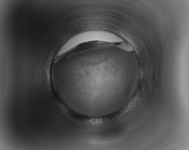 X0000087590353200705181223