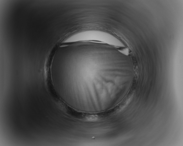 X0000087590355200705181223